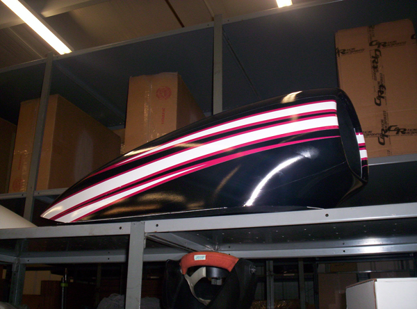Pink_Panther__0323