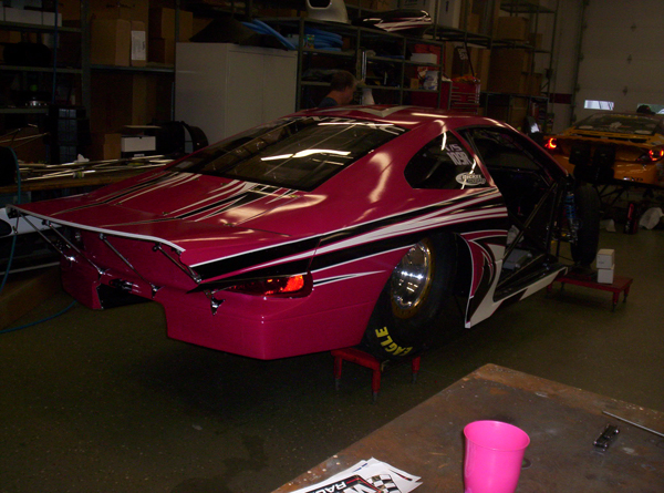 Pink_Panther__0327