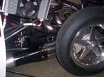 Pink_Panther_III_0372