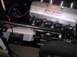 Pink_Panther_III_0373