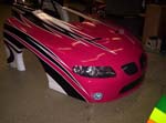 Pink_Panther__0325
